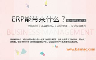 義烏華睿企業erp軟件定制開發,義烏華睿企業erp軟件定制開發生產廠家,義烏華睿企業erp軟件定制開發價格